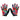 Handup Most Day Gloves Miami Floral