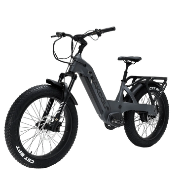 BAKCOU FLATLANDER SD - BAKCOU - Garage Cycles