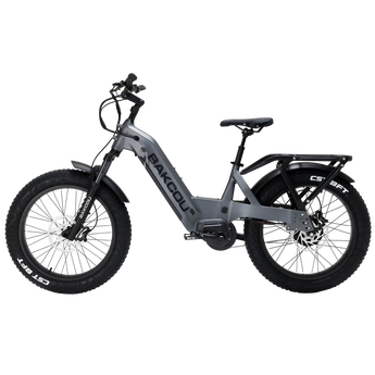 BAKCOU FLATLANDER SD - BAKCOU - Garage Cycles