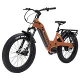 BAKCOU FLATLANDER SD - BAKCOU - Garage Cycles