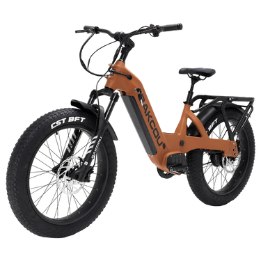 BAKCOU FLATLANDER SD - BAKCOU - Garage Cycles