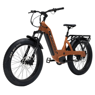 BAKCOU FLATLANDER SD - BAKCOU - Garage Cycles