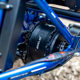 Bull Trail - EMOJO - Garage Cycles