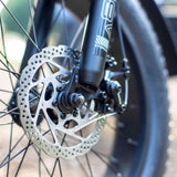 Bull Trail - EMOJO - Garage Cycles