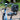 Bull Trail - EMOJO - Garage Cycles