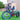 Caddy Pro - EMOJO - Garage Cycles
