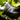 DISTANZA CARBON Cloud White - UDOG - Garage Cycles