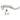 Freedom Coast Magura Brake Levers - Freedom Coast - Garage Cycles