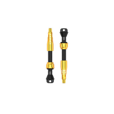 Lezyne Tubeless Valve Set - Lezyne - Garage Cycles