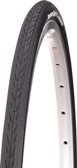 Panaracer T-Serv Protex 700c Tire