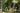 Velotric Nomad 1 Plus Ebike - VELOTRIC - Garage Cycles