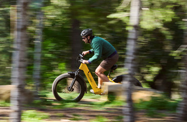 Velotric Nomad 1 Plus Ebike - VELOTRIC - Garage Cycles