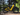 Velotric Nomad 1 Plus Ebike - VELOTRIC - Garage Cycles