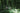 Velotric Nomad 2X Multi-Terrain Camo (MTC) Edition - VELOTRIC - Garage Cycles