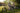 Velotric Nomad 2X Multi-Terrain Camo (MTC) Edition - VELOTRIC - Garage Cycles
