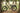 Velotric Nomad 2X Multi-Terrain Camo (MTC) Edition - VELOTRIC - Garage Cycles