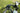 Velotric Packer 1 Ebike - VELOTRIC - Garage Cycles
