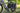 Velotric Packer 1 Ebike - VELOTRIC - Garage Cycles