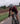 Ventral Lite - Garage Cycles - Garage Cycles