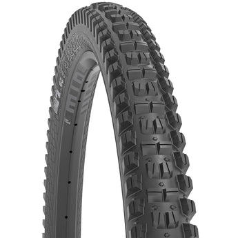 WTB Judge 29" Tire