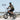 XP Lite2 JW Black Lectric eBike - Garage Cycles - Garage Cycles
