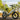 XP4 750 Lectric eBike - Garage Cycles - Garage Cycles