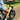 XP4 750 Lectric eBike - Garage Cycles - Garage Cycles