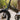 XP4 750 Lectric eBike - Garage Cycles - Garage Cycles