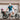 XPedition2 Lectric eBike - Garage Cycles - Garage Cycles